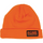 Logo 2025 Beanie Grey