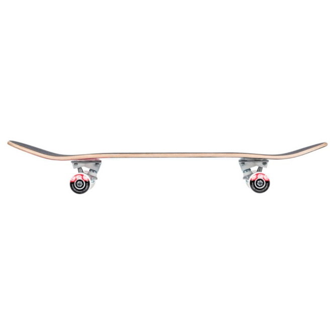 Section 7.75" Assorted Complete Skateboard