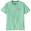 Fitz Roy Icon Responsibili-Tee T-Shirt Rinsed Green