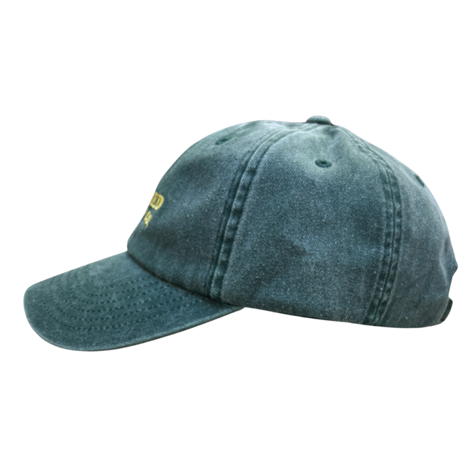 Sunfade Dad Cap Washed Bottle Green