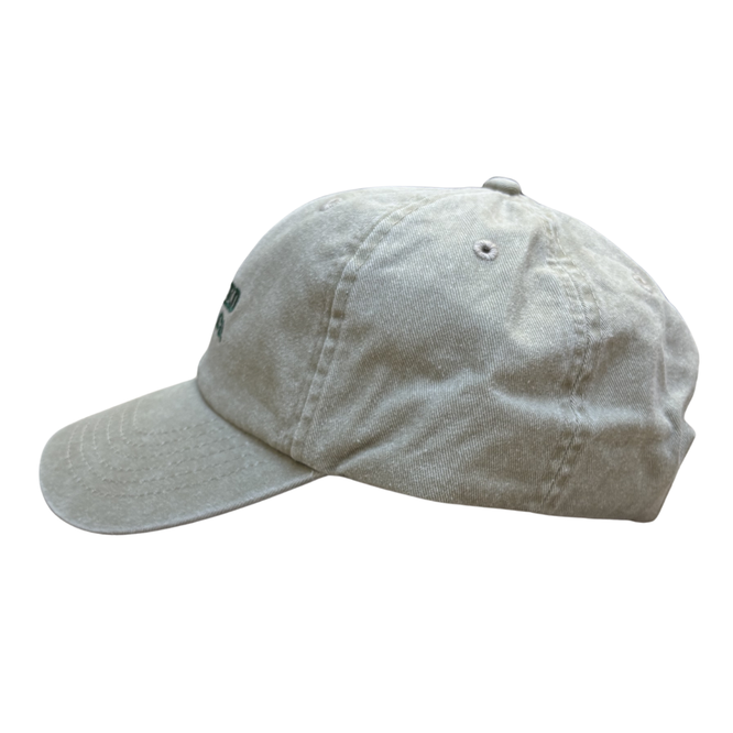 Sunfade Dad Cap Washed Stone