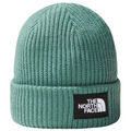 Salty Lined Regular Beanie TNF Black