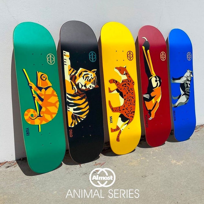 Animals R7 Max Geronzi Jaune 8.25" Skateboard Deck