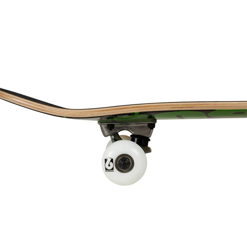 Triple Stack Rasta Stage 1 7.75" Complete Skateboard