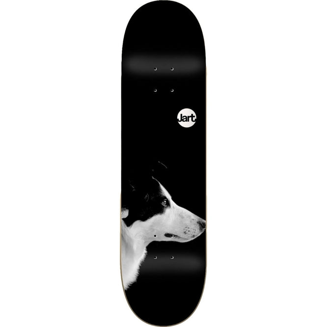 Friends 8.0" Black Skateboard Deck
