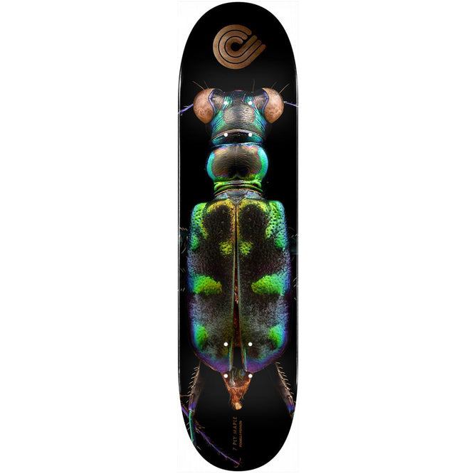 Biss Tiger Beatle 8.25" Skateboard Deck