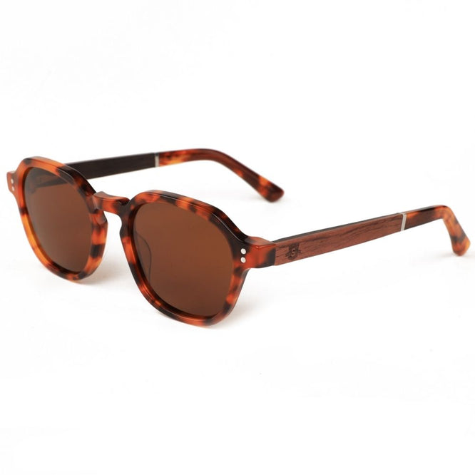 Spiaggia Acetate Tortoise Sunglasses + Brown Lens