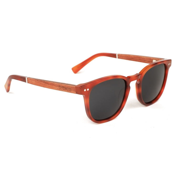 AS404-A-AZ03-01 Acetate Classic Smog Tortoise + Grey Lens